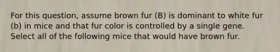 For this question, assume brown fur (B) is dominant to white fur (b) in mice and that fur color is controlled by a single gene. Select all of the following mice that would have brown fur.