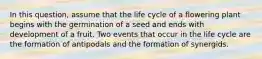 In this question, assume that the life cycle of a flowering plant begins with the germination of a seed and ends with development of a fruit. Two events that occur in the life cycle are the formation of antipodals and the formation of synergids.