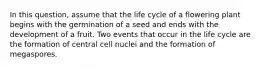 In this question, assume that the life cycle of a flowering plant begins with the germination of a seed and ends with the development of a fruit. Two events that occur in the life cycle are the formation of central cell nuclei and the formation of megaspores.