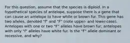 For this question, assume that the species is diploid. In a hypothetical species of antelope, suppose there is a gene that can cause an antelope to have white or brown fur. This gene has two alleles, denoted "f" and "F" (note upper- and lower-case). Antelopes with one or two "F" alleles have brown fur; antelopes with only "f" alleles have white fur. Is the "F" allele dominant or recessive, and why?