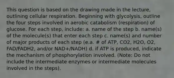 This question is based on the drawing made in the lecture, outlining cellular respiration. Beginning with glycolysis, outline the four steps involved in aerobic catabolism (respiration) of glucose. For each step, include: a. name of the step b. name(s) of the molecule(s) that enter each step c. name(s) and number of major products of each step (e.a. # of ATP, CO2, H2O, O2, FAD/FADH2, and/or NAD+/NADH) d. if ATP is produced, indicate the mechanism of phosphorylation involved. (Note: Do not include the intermediate enzymes or intermediate molecules involved in the steps).