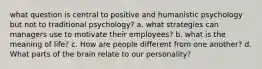 what question is central to positive and humanistic psychology but not to traditional psychology? a. what strategies can managers use to motivate their employees? b. what is the meaning of life? c. How are people different from one another? d. What parts of the brain relate to our personality?