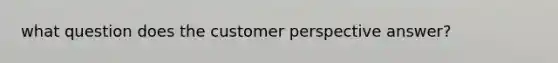 what question does the customer perspective answer?