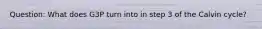 Question: What does G3P turn into in step 3 of the Calvin cycle?