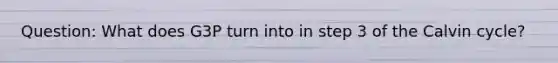 Question: What does G3P turn into in step 3 of the Calvin cycle?