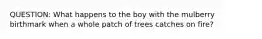 QUESTION: What happens to the boy with the mulberry birthmark when a whole patch of trees catches on fire?