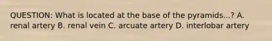 QUESTION: What is located at the base of the pyramids...? A. renal artery B. renal vein C. arcuate artery D. interlobar artery