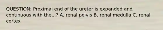 QUESTION: Proximal end of the ureter is expanded and continuous with the...? A. renal pelvis B. renal medulla C. renal cortex