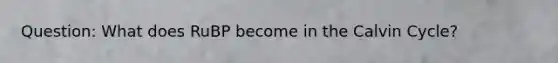 Question: What does RuBP become in the Calvin Cycle?