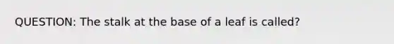 QUESTION: The stalk at the base of a leaf is called?