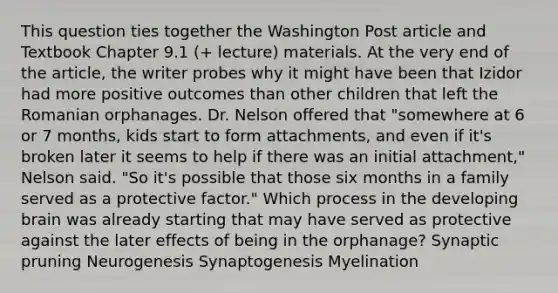 This question ties together the Washington Post article and Textbook Chapter 9.1 (+ lecture) materials. At the very end of the article, the writer probes why it might have been that Izidor had more positive outcomes than other children that left the Romanian orphanages. Dr. Nelson offered that "somewhere at 6 or 7 months, kids start to form attachments, and even if it's broken later it seems to help if there was an initial attachment," Nelson said. "So it's possible that those six months in a family served as a protective factor." Which process in the developing brain was already starting that may have served as protective against the later effects of being in the orphanage? Synaptic pruning Neurogenesis Synaptogenesis Myelination