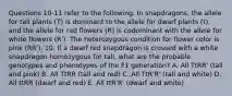 Questions 10-11 refer to the following. In snapdragons, the allele for tall plants (T) is dominant to the allele for dwarf plants (t), and the allele for red flowers (R) is codominant with the allele for white flowers (R'). The heterozygous condition for flower color is pink (RR'). 10. If a dwarf red snapdragon is crossed with a white snapdragon homozygous for tall, what are the probable genotypes and phenotypes of the F1 generation? A. All TtRR' (tall and pink) B. All TtRR (tall and red) C. All TtR'R' (tall and white) D. All ttRR (dwarf and red) E. All ttR'R' (dwarf and white)