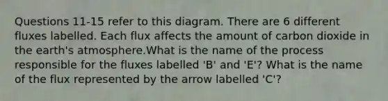 Questions 11-15 refer to this diagram. There are 6 different fluxes labelled. Each flux affects the amount of carbon dioxide in the earth's atmosphere.What is the name of the process responsible for the fluxes labelled 'B' and 'E'? What is the name of the flux represented by the arrow labelled 'C'?