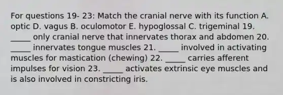 For questions 19- 23: Match the cranial nerve with its function A. optic D. vagus B. oculomotor E. hypoglossal C. trigeminal 19. _____ only cranial nerve that innervates thorax and abdomen 20. _____ innervates tongue muscles 21. _____ involved in activating muscles for mastication (chewing) 22. _____ carries afferent impulses for vision 23. _____ activates extrinsic eye muscles and is also involved in constricting iris.