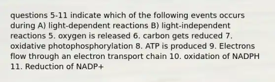 questions 5-11 indicate which of the following events occurs during A) light-dependent reactions B) light-independent reactions 5. oxygen is released 6. carbon gets reduced 7. oxidative photophosphorylation 8. ATP is produced 9. Electrons flow through an electron transport chain 10. oxidation of NADPH 11. Reduction of NADP+