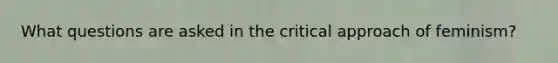 What questions are asked in the critical approach of feminism?
