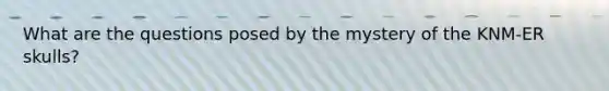 What are the questions posed by the mystery of the KNM-ER skulls?