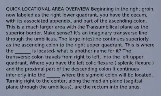 QUICK LOCATIONAL AREA OVERVIEW Beginning in the right groin, now labeled as the right lower quadrant, you have the cecum, with its associated appendix, and part of the ascending colon. This is a much larger area with the Transumbilical plane as the superior border. Make sense? It's an imaginary transverse line through the umbilicus. The large intestine continues superiorly as the ascending colon to the right upper quadrant. This is where the _______ is located- what is another name for it? The transverse colon travels from right to left, into the left upper quadrant. Where you have the left colic flexure ( splenic flexure ) and the proximal part of the descending colon It continues inferiorly into the ______ where the sigmoid colon will be located. Turning right to the center, along the median plane (sagittal plane through the umbilicus), are the rectum into the anus.