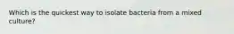 Which is the quickest way to isolate bacteria from a mixed culture?