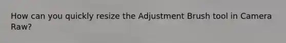 How can you quickly resize the Adjustment Brush tool in Camera Raw?