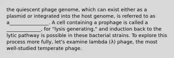 the quiescent phage genome, which can exist either as a plasmid or integrated into the host genome, is referred to as a________________. A cell containing a prophage is called a ______________, for "lysis generating," and induction back to the lytic pathway is possible in these bacterial strains. To explore this process more fully, let's examine lambda (λ) phage, the most well-studied temperate phage.