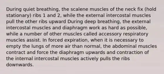 During quiet breathing, the scalene muscles of the neck fix (hold stationary) ribs 1 and 2, while the external intercostal muscles pull the other ribs upward During deep breathing, the external intercostal muscles and diaphragm work as hard as possible, while a number of other muscles called accessory respiratory muscles assist. In forced expiration, when it is necessary to empty the lungs of more air than normal, the abdominal muscles contract and force the diaphragm upwards and contraction of the internal intercostal muscles actively pulls the ribs downwards.