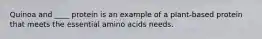 Quinoa and ____ protein is an example of a plant-based protein that meets the essential amino acids needs.