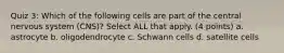 Quiz 3: Which of the following cells are part of the central nervous system (CNS)? Select ALL that apply. (4 points) a. astrocyte b. oligodendrocyte c. Schwann cells d. satellite cells