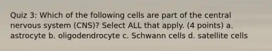 Quiz 3: Which of the following cells are part of the central nervous system (CNS)? Select ALL that apply. (4 points) a. astrocyte b. oligodendrocyte c. Schwann cells d. satellite cells