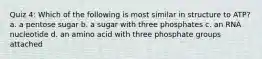 Quiz 4: Which of the following is most similar in structure to ATP? a. a pentose sugar b. a sugar with three phosphates c. an RNA nucleotide d. an amino acid with three phosphate groups attached