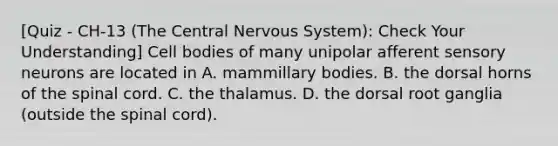 [Quiz - CH-13 (The Central Nervous System): Check Your Understanding] Cell bodies of many unipolar afferent sensory neurons are located in A. mammillary bodies. B. the dorsal horns of the spinal cord. C. the thalamus. D. the dorsal root ganglia (outside the spinal cord).