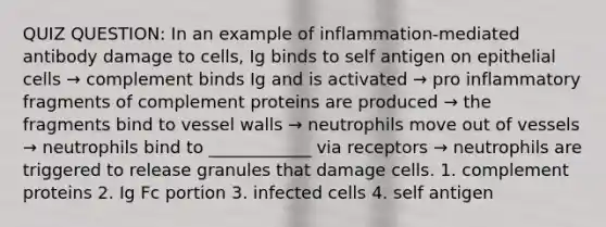 QUIZ QUESTION: In an example of inflammation-mediated antibody damage to cells, Ig binds to self antigen on epithelial cells → complement binds Ig and is activated → pro inflammatory fragments of complement proteins are produced → the fragments bind to vessel walls → neutrophils move out of vessels → neutrophils bind to ____________ via receptors → neutrophils are triggered to release granules that damage cells. 1. complement proteins 2. Ig Fc portion 3. infected cells 4. self antigen