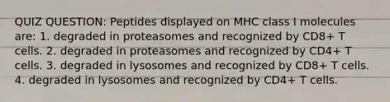 QUIZ QUESTION: Peptides displayed on MHC class I molecules are: 1. degraded in proteasomes and recognized by CD8+ T cells. 2. degraded in proteasomes and recognized by CD4+ T cells. 3. degraded in lysosomes and recognized by CD8+ T cells. 4. degraded in lysosomes and recognized by CD4+ T cells.