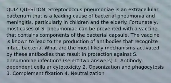 QUIZ QUESTION: Streptococcus pneumoniae is an extracellular bacterium that is a leading cause of bacterial pneumonia and meningitis, particularly in children and the elderly. Fortunately, most cases of S. pneumoniae can be prevented with a vaccine that contains components of the bacterial capsule. The vaccine is known to lead to the production of antibodies that recognize intact bacteria. What are the most likely mechanisms activated by these antibodies that result in protection against S. pneumoniae infection? (select two answers) 1. Antibody-dependent cellular cytotoxicity 2. Opsonization and phagocytosis 3. Complement fixation 4. Neutralization