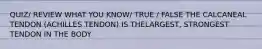 QUIZ/ REVIEW WHAT YOU KNOW/ TRUE / FALSE THE CALCANEAL TENDON (ACHILLES TENDON) IS THELARGEST, STRONGEST TENDON IN THE BODY