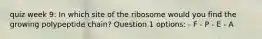 quiz week 9: In which site of the ribosome would you find the growing polypeptide chain? Question 1 options: - F - P - E - A