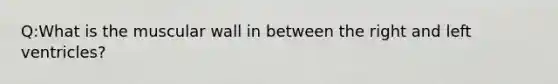 Q:What is the muscular wall in between the right and left ventricles?