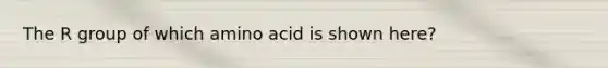 The R group of which amino acid is shown here?