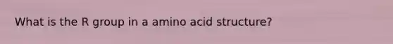 What is the R group in a amino acid structure?