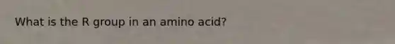 What is the R group in an amino acid?