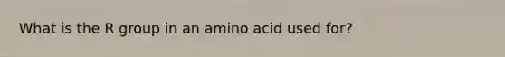 What is the R group in an amino acid used for?