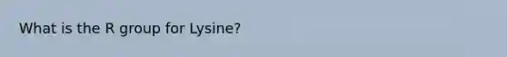 What is the R group for Lysine?