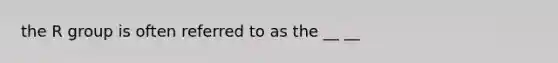 the R group is often referred to as the __ __