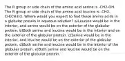 The R group or side chain of the amino acid serine is -CH2-OH. The R group or side chain of the amino acid leucine is -CH2-CH(CH3)2. Where would you expect to find these amino acids in a globular protein in aqueous solution? a)Leucine would be in the interior, and serine would be on the exterior of the globular protein. b)Both serine and leucine would be in the interior and on the exterior of the globular protein. c)Serine would be in the interior, and leucine would be on the exterior of the globular protein. d)Both serine and leucine would be in the interior of the globular protein. e)Both serine and leucine would be on the exterior of the globular protein.