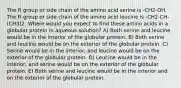 The R group or side chain of the amino acid serine is -CH2-OH. The R group or side chain of the amino acid leucine is -CH2-CH-(CH3)2. Where would you expect to find these amino acids in a globular protein in aqueous solution? A) Both serine and leucine would be in the interior of the globular protein. B) Both serine and leucine would be on the exterior of the globular protein. C) Serine would be in the interior, and leucine would be on the exterior of the globular protein. D) Leucine would be in the interior, and serine would be on the exterior of the globular protein. E) Both serine and leucine would be in the interior and on the exterior of the globular protein.