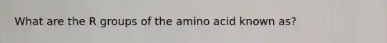 What are the R groups of the amino acid known as?