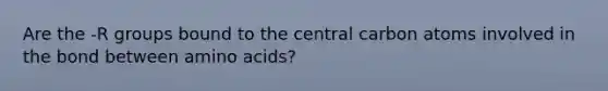 Are the -R groups bound to the central carbon atoms involved in the bond between amino acids?