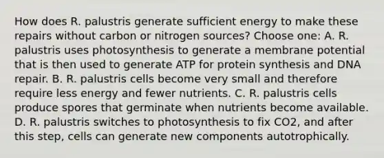 How does R. palustris generate sufficient energy to make these repairs without carbon or nitrogen sources? Choose one: A. R. palustris uses photosynthesis to generate a membrane potential that is then used to generate ATP for protein synthesis and DNA repair. B. R. palustris cells become very small and therefore require less energy and fewer nutrients. C. R. palustris cells produce spores that germinate when nutrients become available. D. R. palustris switches to photosynthesis to fix CO2, and after this step, cells can generate new components autotrophically.