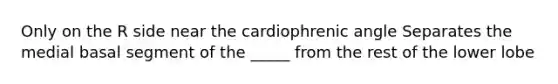 Only on the R side near the cardiophrenic angle Separates the medial basal segment of the _____ from the rest of the lower lobe