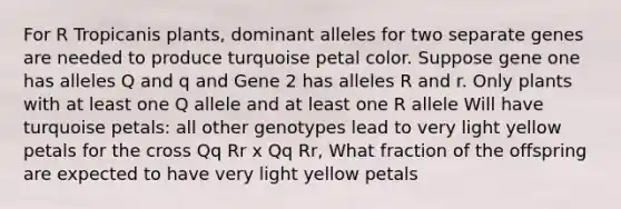 For R Tropicanis plants, dominant alleles for two separate genes are needed to produce turquoise petal color. Suppose gene one has alleles Q and q and Gene 2 has alleles R and r. Only plants with at least one Q allele and at least one R allele Will have turquoise petals: all other genotypes lead to very light yellow petals for the cross Qq Rr x Qq Rr, What fraction of the offspring are expected to have very light yellow petals